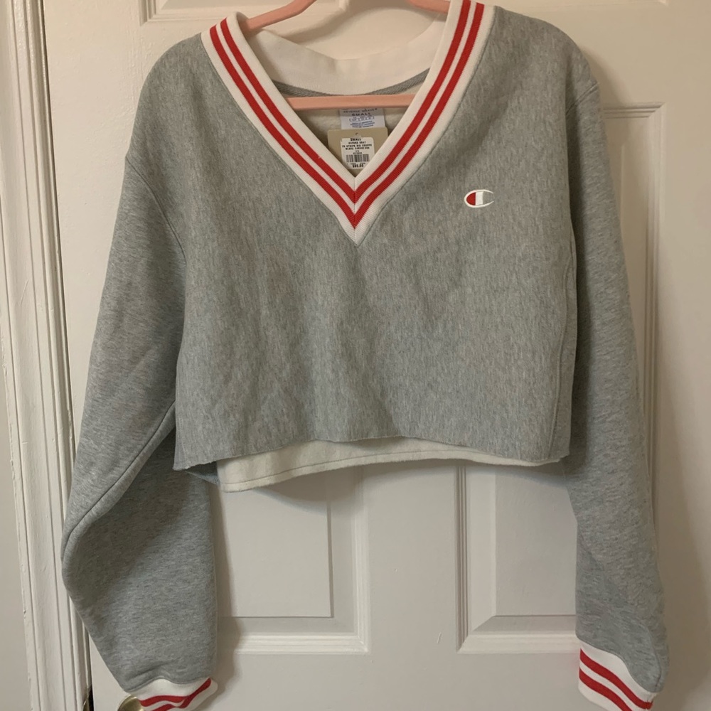 Champion Gray Crop Top Sweatshirt